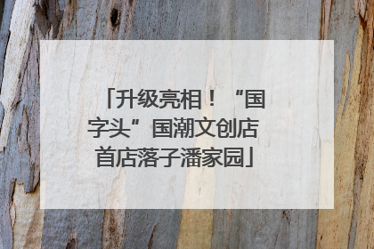 升级亮相！“国字头”国潮文创店首店落子潘家园
