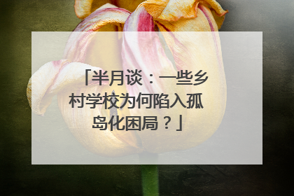 半月谈：一些乡村学校为何陷入孤岛化困局？