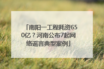 南阳一工程耗资650亿？河南公布7起网络谣言典型案例