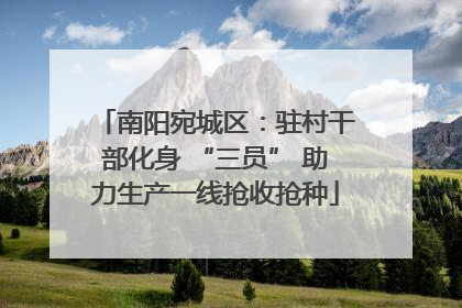 南阳宛城区：驻村干部化身 “三员” 助力生产一线抢收抢种