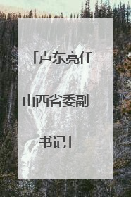 卢东亮任山西省委副书记