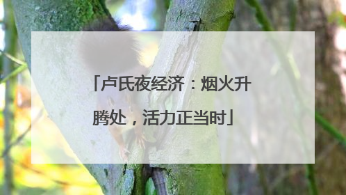 卢氏夜经济：烟火升腾处，活力正当时