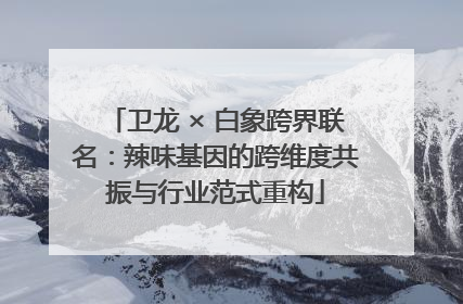 卫龙 × 白象跨界联名：辣味基因的跨维度共振与行业范式重构