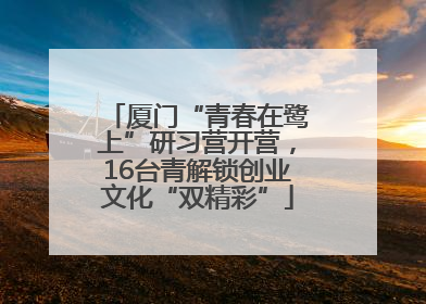 厦门“青春在鹭上”研习营开营，16台青解锁创业文化“双精彩”