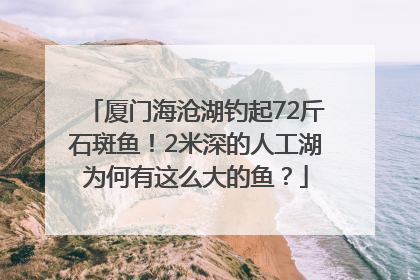 厦门海沧湖钓起72斤石斑鱼！2米深的人工湖为何有这么大的鱼？