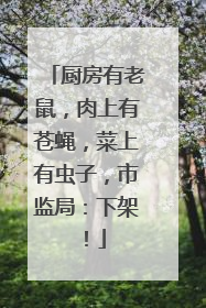 厨房有老鼠，肉上有苍蝇，菜上有虫子，市监局：下架！