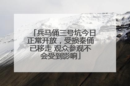 兵马俑三号坑今日正常开放，受损秦俑已移走 观众参观不会受到影响