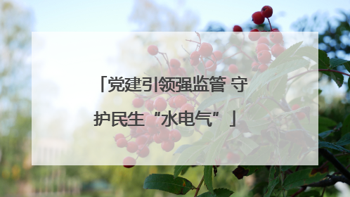 党建引领强监管 守护民生“水电气”