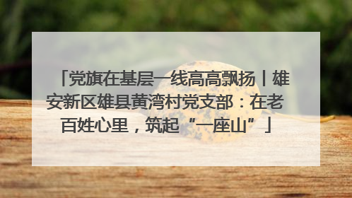 党旗在基层一线高高飘扬丨雄安新区雄县黄湾村党支部：在老百姓心里，筑起“一座山”