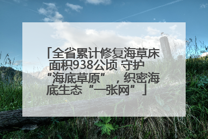 全省累计修复海草床面积938公顷 守护“海底草原”，织密海底生态“一张网”
