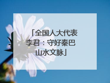 全国人大代表李君：守好秦巴山水文脉