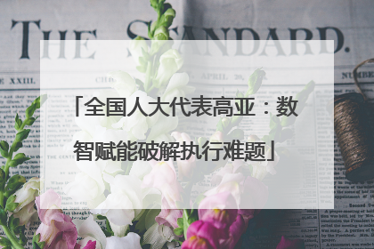 全国人大代表高亚：数智赋能破解执行难题