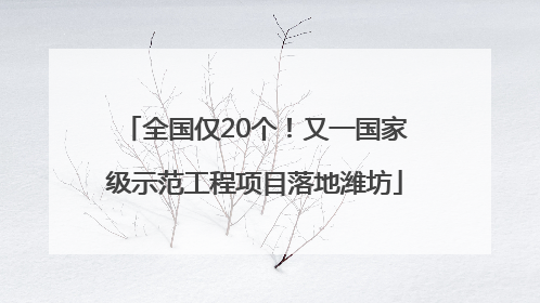 全国仅20个！又一国家级示范工程项目落地潍坊