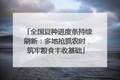 全国夏种进度条持续刷新：多地抢抓农时 筑牢粮食丰收基础