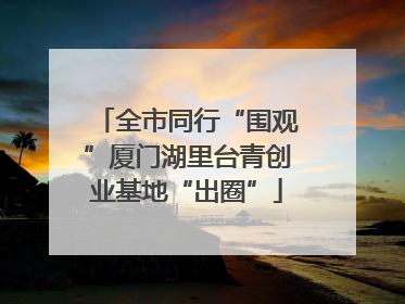 全市同行“围观”厦门湖里台青创业基地“出圈”
