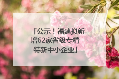 公示！福建拟新增62家省级专精特新中小企业