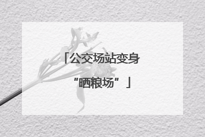 公交场站变身“晒粮场”