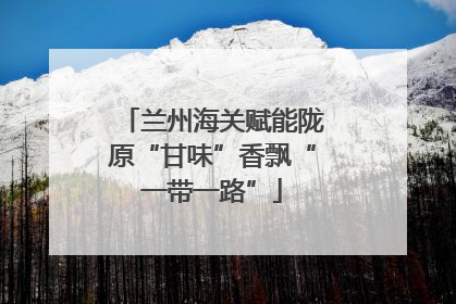 兰州海关赋能陇原“甘味”香飘“一带一路”