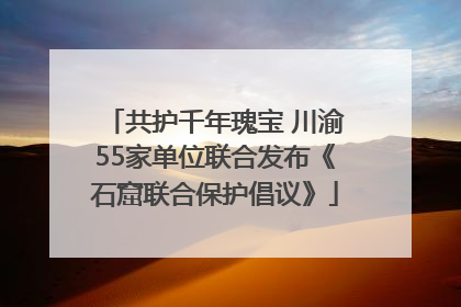 共护千年瑰宝 川渝55家单位联合发布《石窟联合保护倡议》