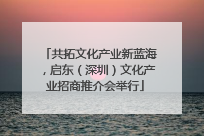 共拓文化产业新蓝海，启东（深圳）文化产业招商推介会举行