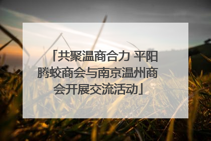 共聚温商合力 平阳腾蛟商会与南京温州商会开展交流活动