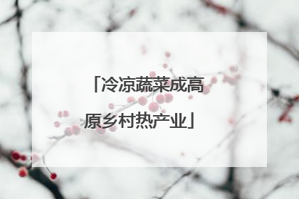 冷凉蔬菜成高原乡村热产业