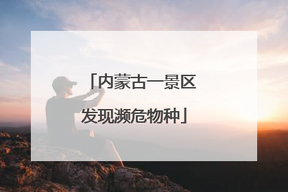内蒙古一景区发现濒危物种