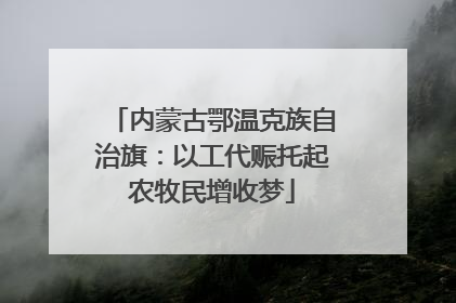 内蒙古鄂温克族自治旗：以工代赈托起农牧民增收梦