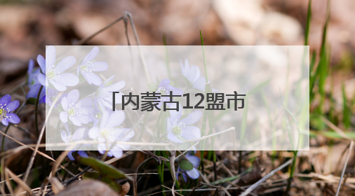 内蒙古12盟市中小学试点校集中展示校园足球课程建设成果