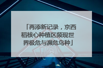 再添新记录，京西稻核心种植区频现世界极危与濒危鸟种