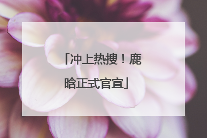 冲上热搜！鹿晗正式官宣