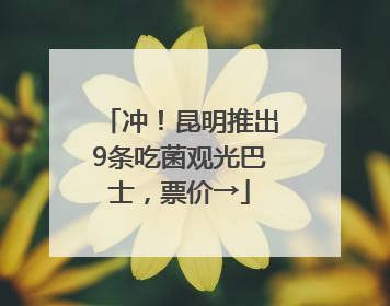 冲！昆明推出9条吃菌观光巴士，票价→