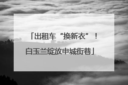 出租车“换新衣”！白玉兰绽放申城街巷