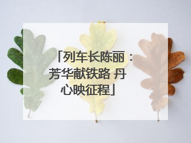 列车长陈丽：芳华献铁路 丹心映征程