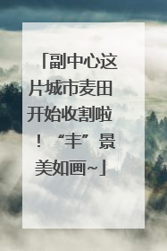 副中心这片城市麦田开始收割啦！“丰”景美如画~