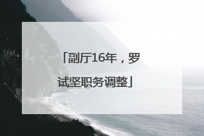 副厅16年，罗试坚职务调整