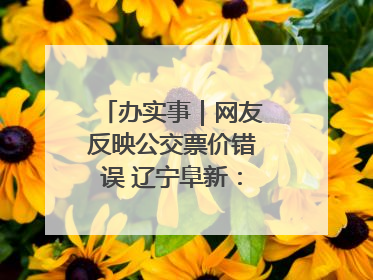 办实事｜网友反映公交票价错误 辽宁阜新：及时核查更正 加强实时巡检