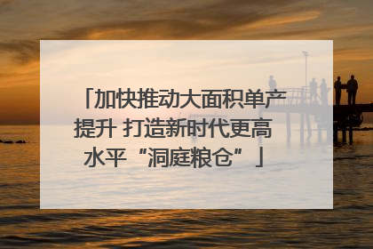 加快推动大面积单产提升 打造新时代更高水平“洞庭粮仓”