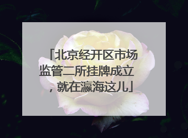 北京经开区市场监管二所挂牌成立，就在瀛海这儿