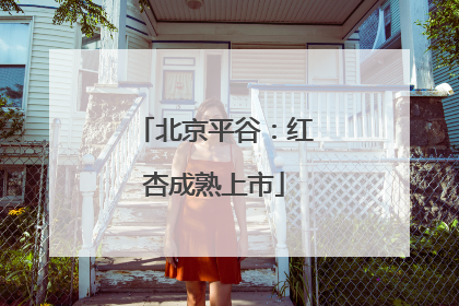 北京平谷：红杏成熟上市