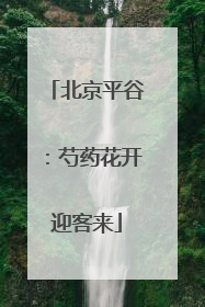 北京平谷：芍药花开迎客来