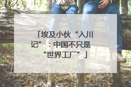 埃及小伙“入川记”：中国不只是“世界工厂”