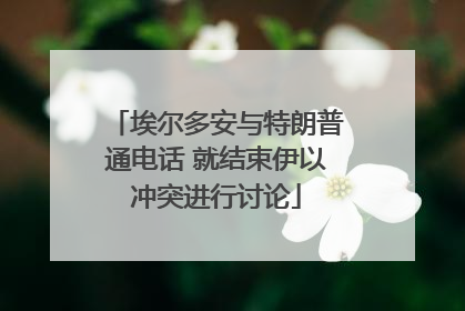 埃尔多安与特朗普通电话 就结束伊以冲突进行讨论