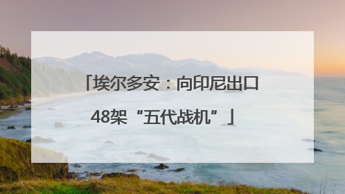 埃尔多安：向印尼出口48架“五代战机”