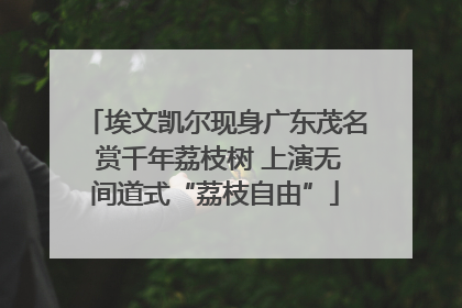 埃文凯尔现身广东茂名 赏千年荔枝树 上演无间道式“荔枝自由”