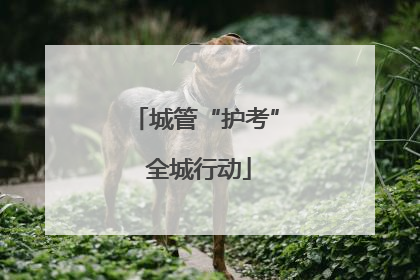城管“护考” 全城行动