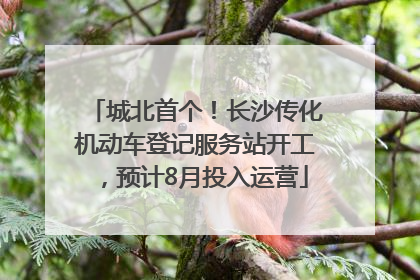 城北首个！长沙传化机动车登记服务站开工，预计8月投入运营