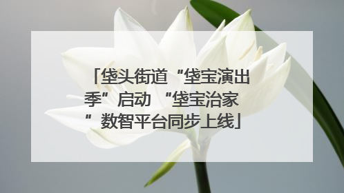 垡头街道“垡宝演出季”启动 “垡宝治家”数智平台同步上线