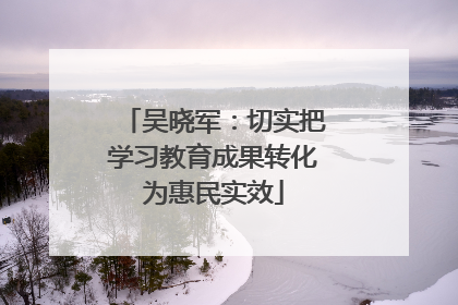 吴晓军：切实把学习教育成果转化为惠民实效