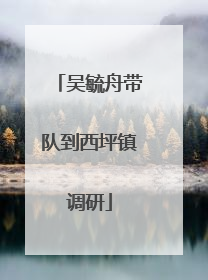 吴毓舟带队到西坪镇调研